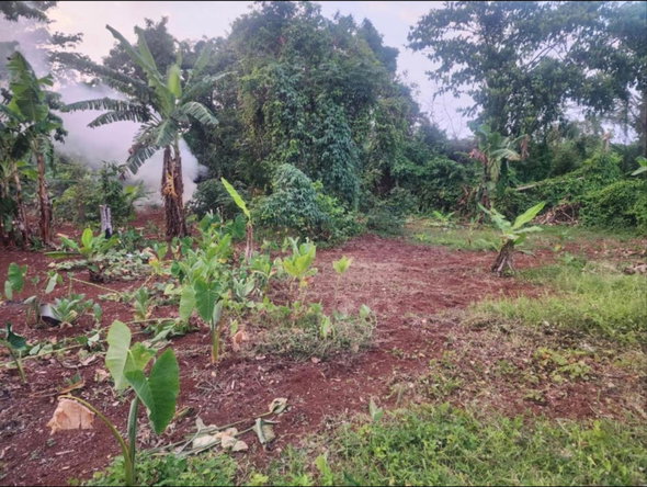 Sixth image of Hampstead, Runaway Bay in Runaway Bay, St. Ann, Jamaica - property is For Sale