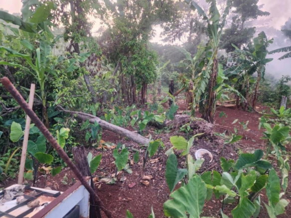 First image of Hampstead, Runaway Bay in Runaway Bay, St. Ann, Jamaica - property is For Sale