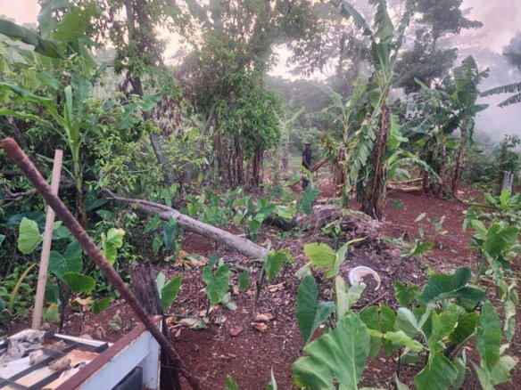 First image of Hampstead, Runaway Bay in Runaway Bay, St. Ann, Jamaica - property is For Sale