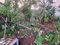 First image of Hampstead, Runaway Bay in Runaway Bay, St. Ann, Jamaica - property is For Sale