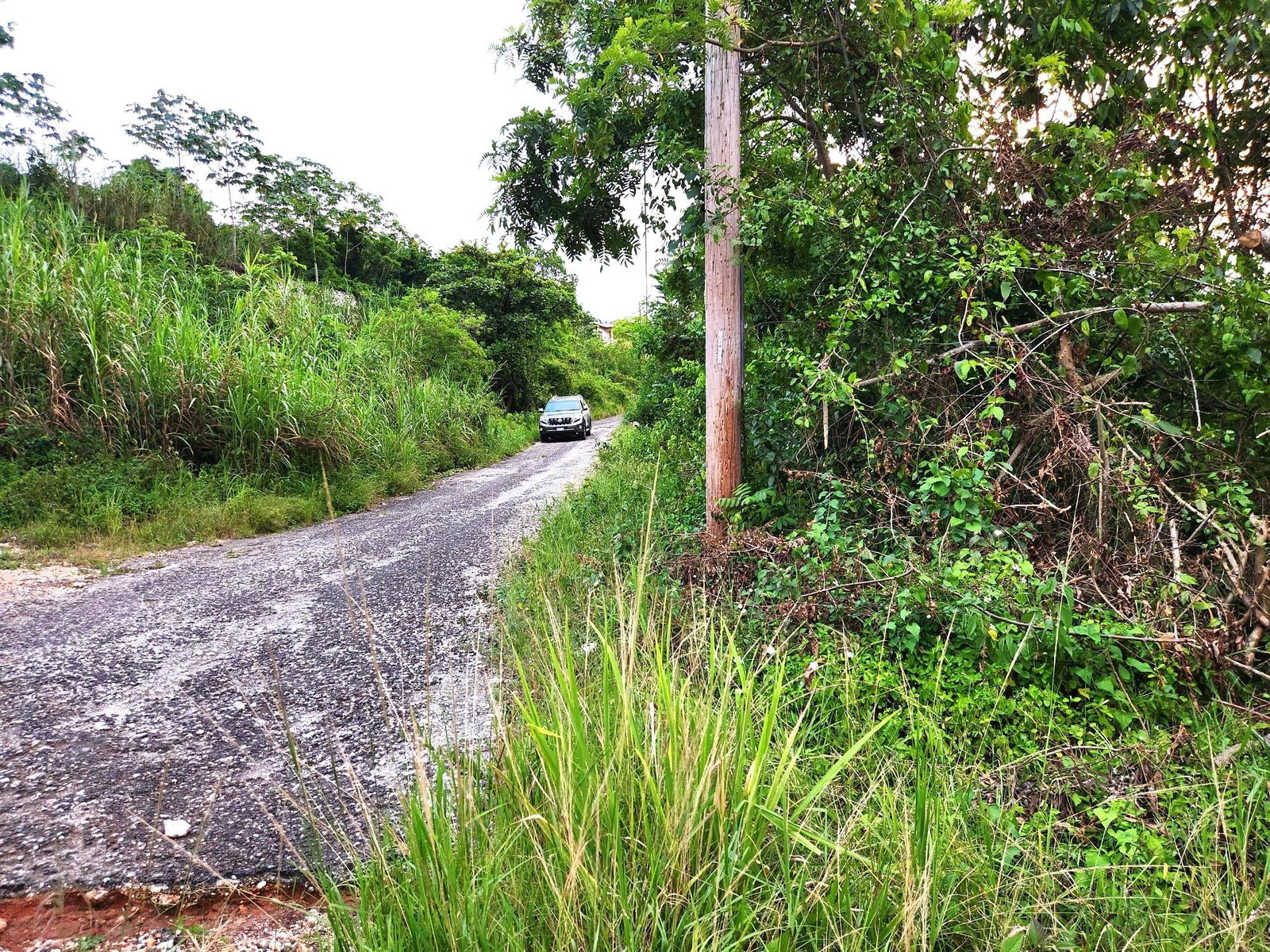 Sixth image of Ciboney Drive, Hanbury in Hanbury, Manchester, Jamaica - property is For Sale
