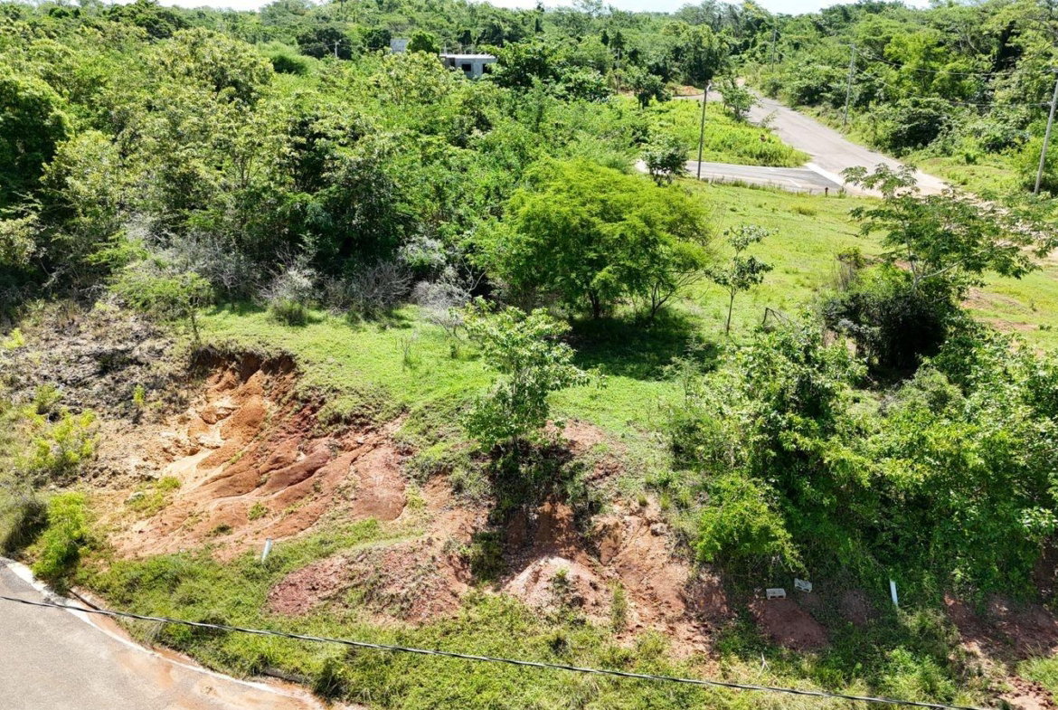 Second image of Luana in Luana, St. Elizabeth, Jamaica - property is For Sale