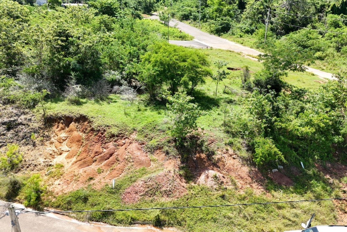 Fourth image of Luana in Luana, St. Elizabeth, Jamaica - property is For Sale