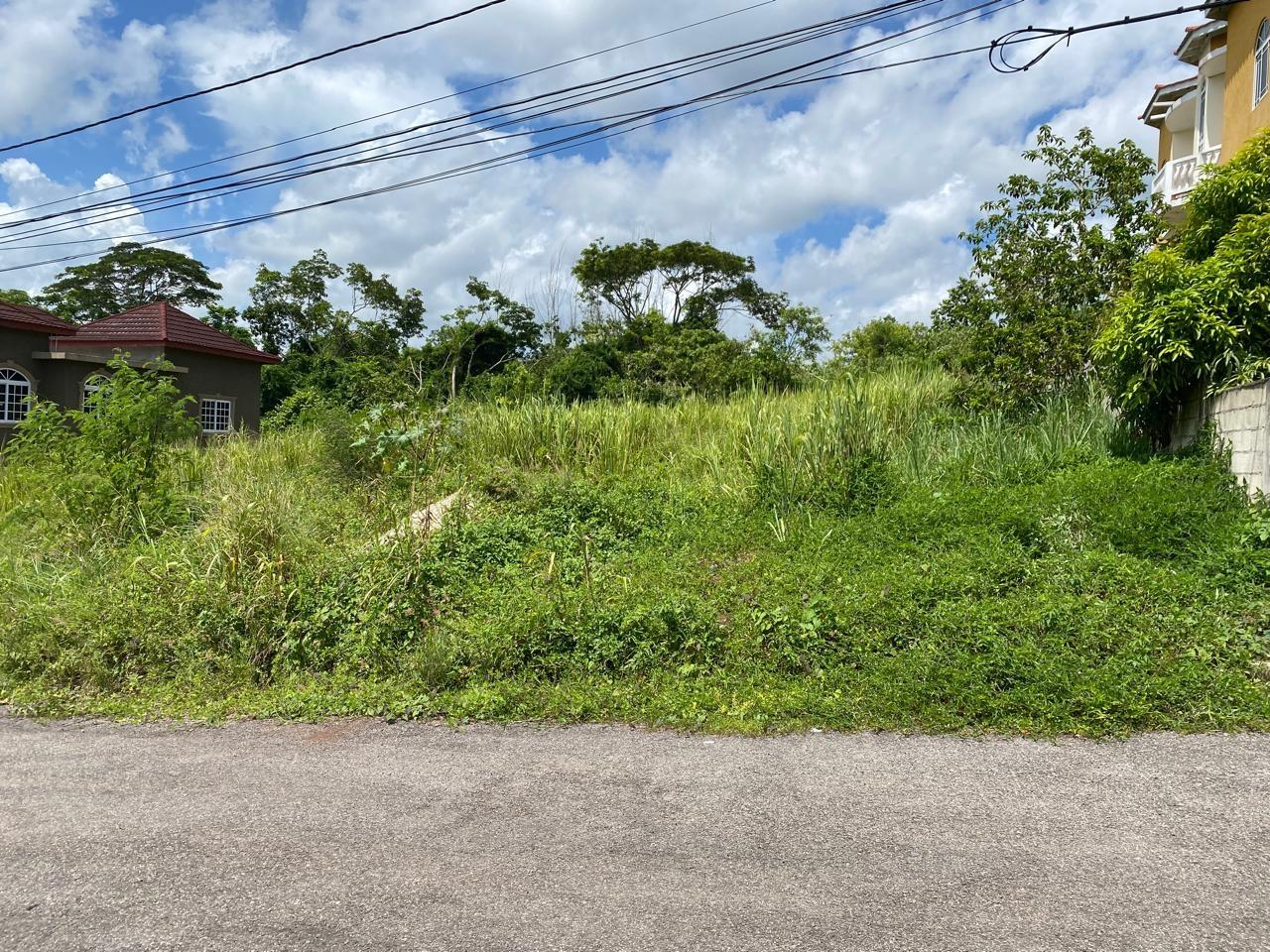 Eighth image of Lot 3 Maxfield Heights in Falmouth, Trelawny, Jamaica - property is For Sale