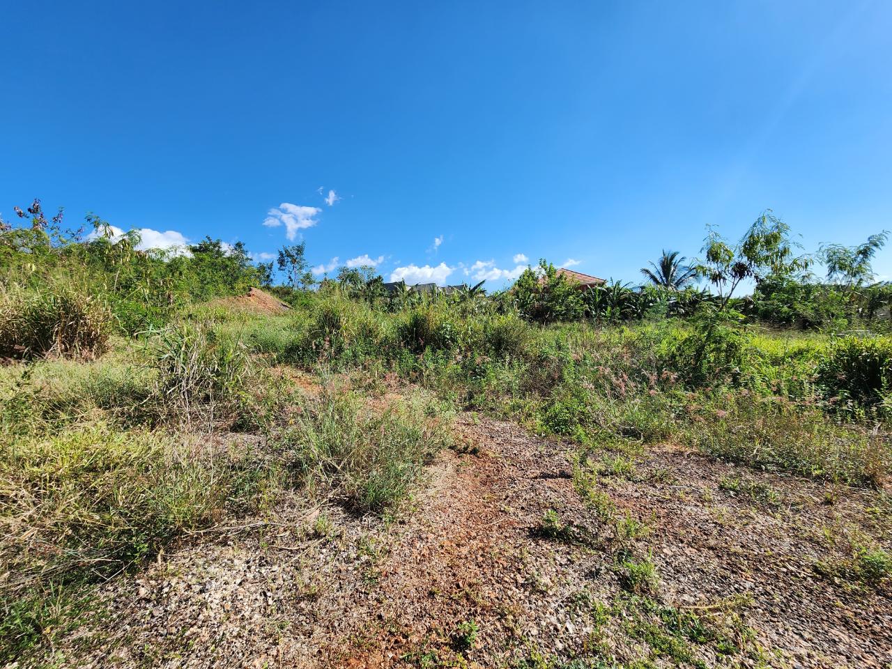 Fifth image of 6 Montpelier, Pepper P.o in Montpelier, St. Elizabeth, Jamaica - property is For Sale