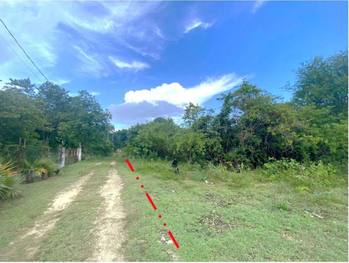 Fourth image of Mount Pleasant, Negril in Negril, Westmoreland, Jamaica - property is For Sale