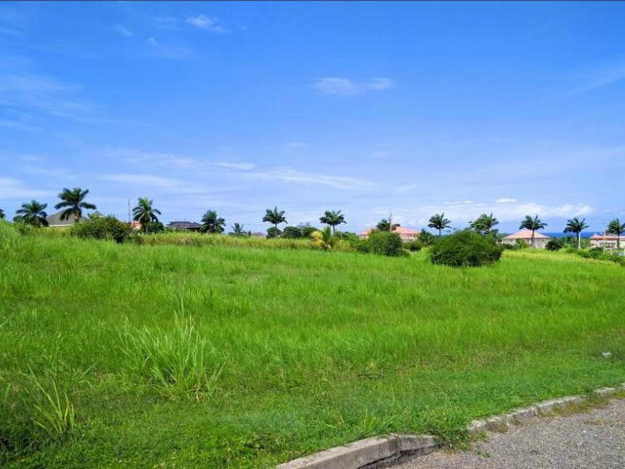 Fifth image of 314 Lignum Vitae Avenue, Plan in Laughlands, St. Ann, Jamaica - property is For Sale