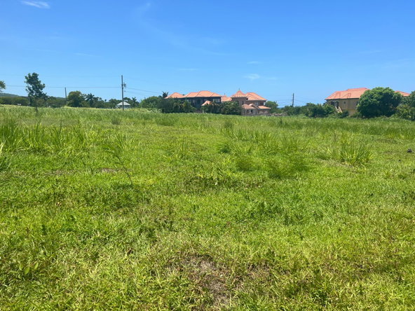 Ninth image of 314 Lignum Vitae Avenue, Plan in Laughlands, St. Ann, Jamaica - property is For Sale