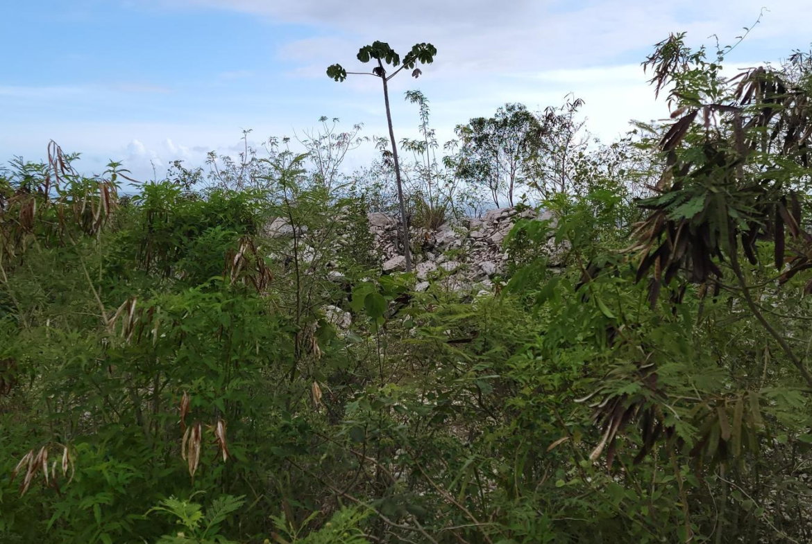 Third image of 233-96 Tom Cringle Drive, Planta in Kingston 19, St. Andrew, Jamaica - property is For Sale