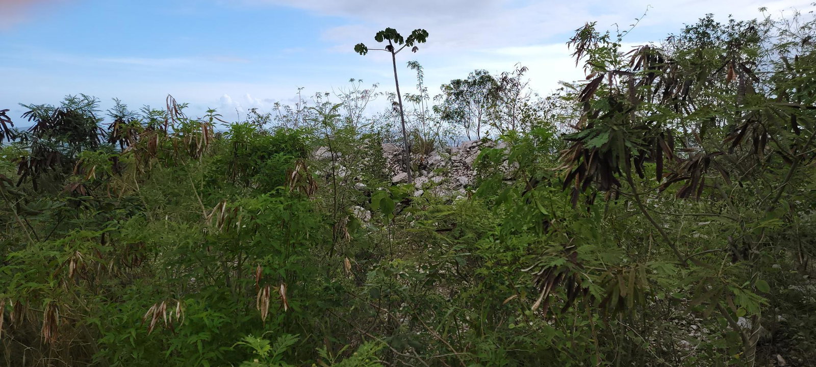 Third image of 233-96 Tom Cringle Drive, Planta in Kingston 19, St. Andrew, Jamaica - property is For Sale