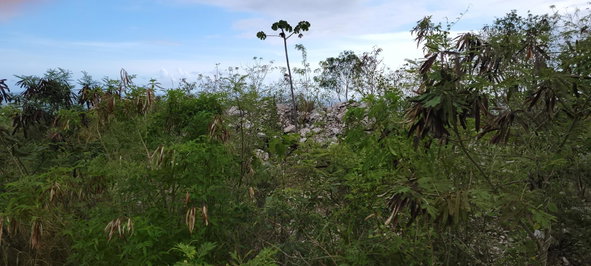 Third image of 233-96 Tom Cringle Drive, Planta in Kingston 19, St. Andrew, Jamaica - property is For Sale