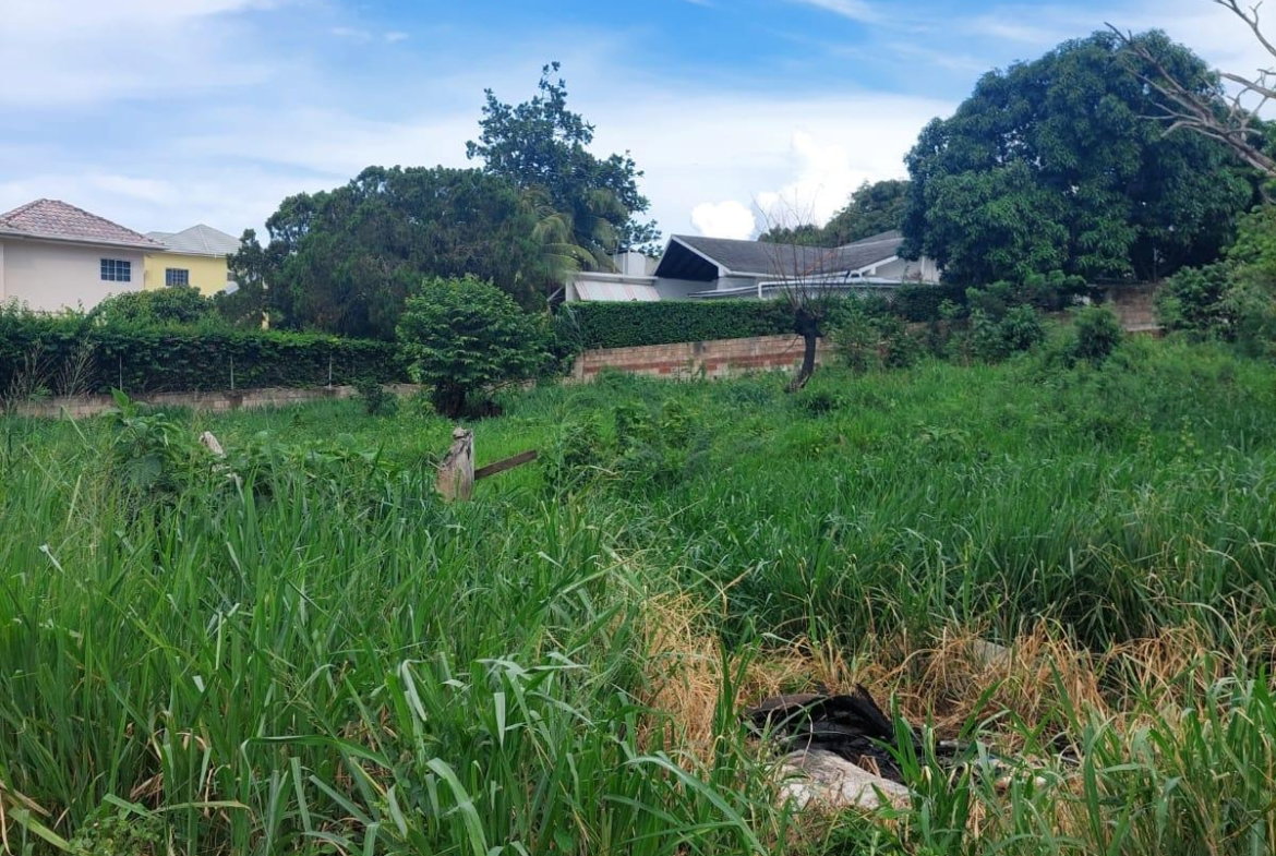 Tenth image of 29 Odate st in Discovery Bay, St. Ann, Jamaica - property is For Sale