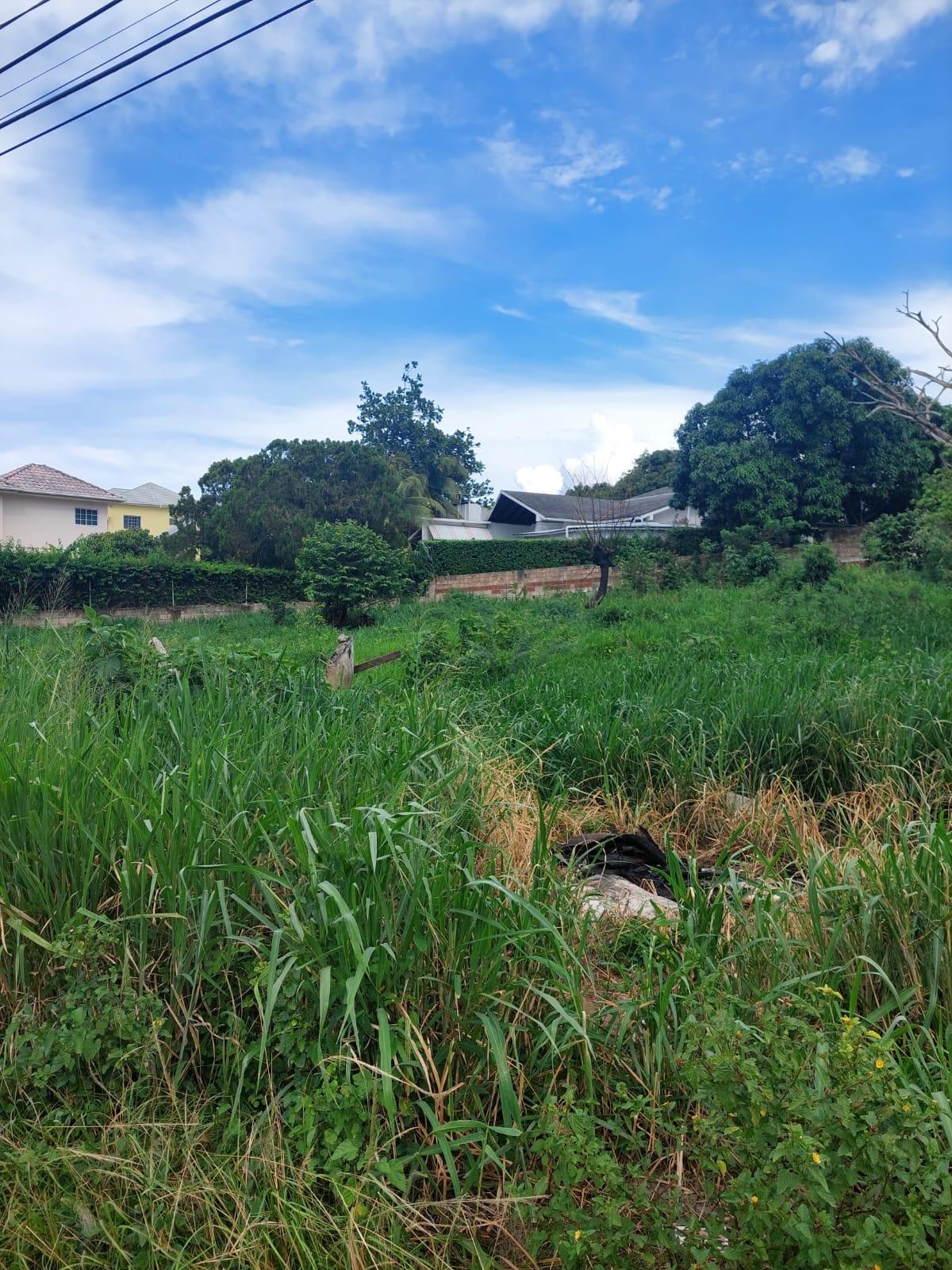 Prime-Residential-Lot-for-Sale-in-St.-Ann-Jamaica-Build-Your-Dream-Home Tenth image of 29 Odate st in Discovery Bay, St. Ann, Jamaica - property is For Sale