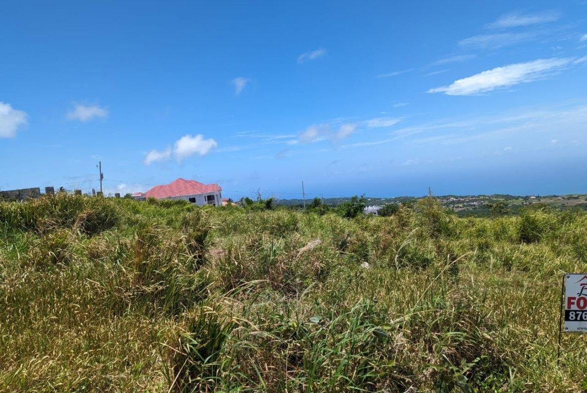 Twelfth image of Whispering Height, Munro in Munroe College, St. Elizabeth, Jamaica - property is For Sale