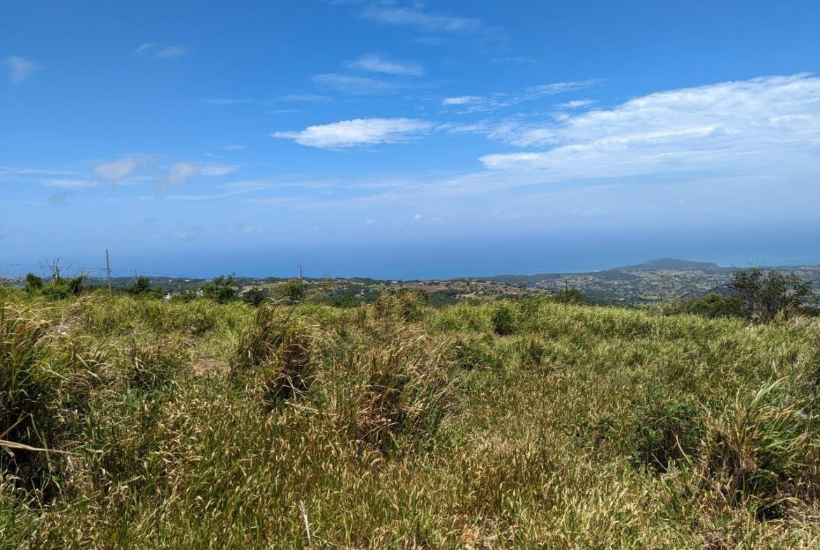 Fourth image of Whispering Height, Munro in Munroe College, St. Elizabeth, Jamaica - property is For Sale