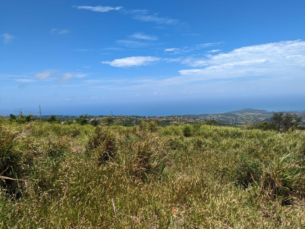Fourth image of Whispering Height, Munro in Munroe College, St. Elizabeth, Jamaica - property is For Sale