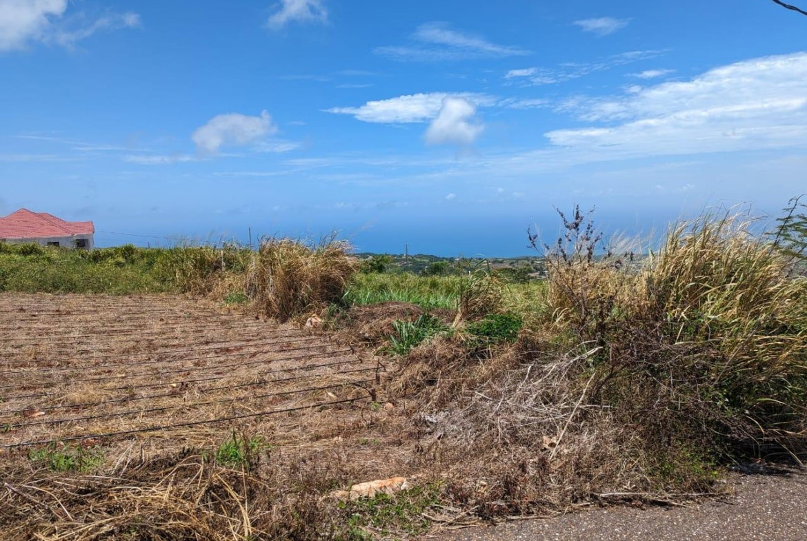 Fifth image of Whispering Height, Munro in Munroe College, St. Elizabeth, Jamaica - property is For Sale