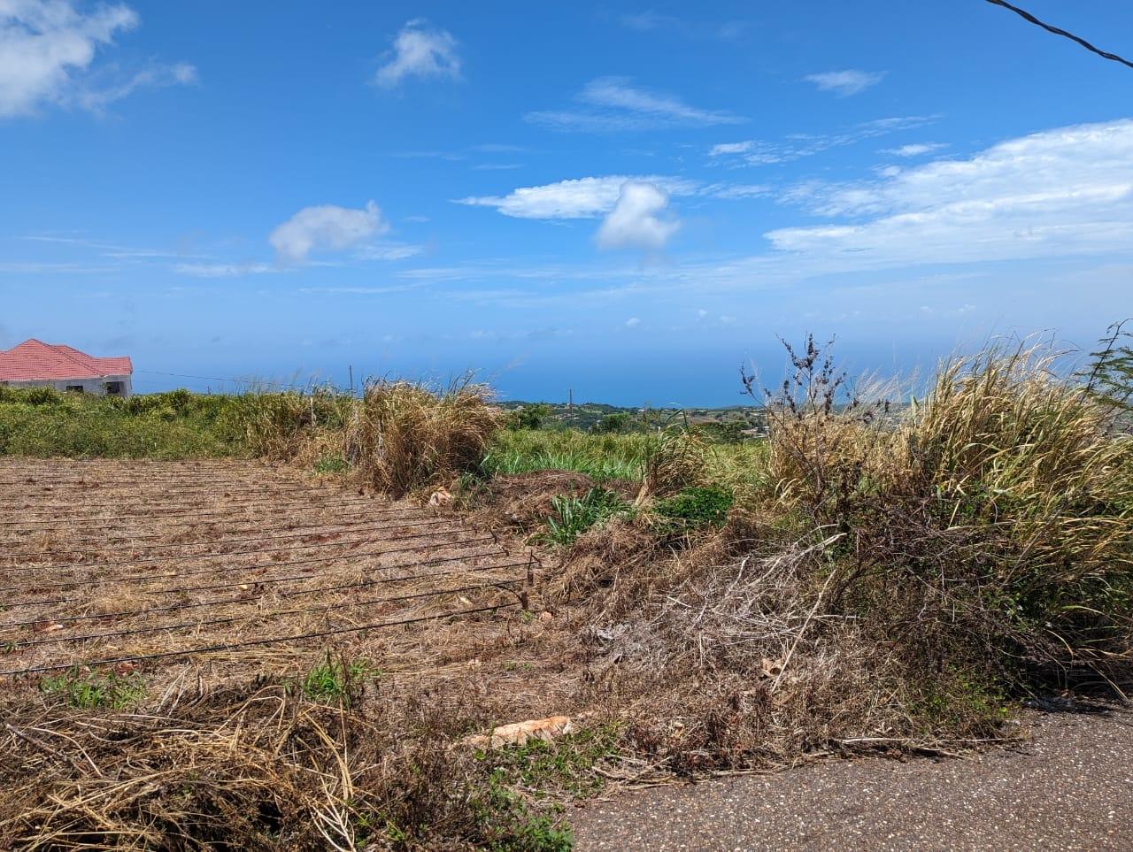 Fifth image of Whispering Height, Munro in Munroe College, St. Elizabeth, Jamaica - property is For Sale