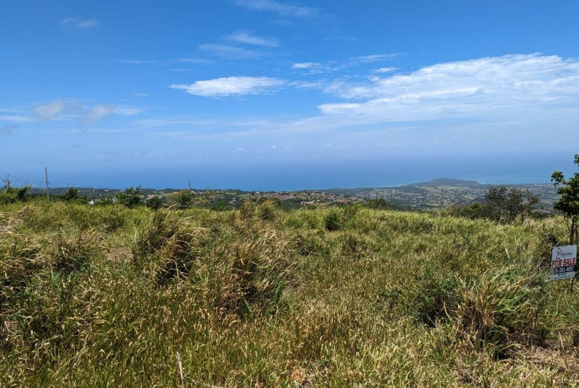 Tenth image of Whispering Height, Munro in Munroe College, St. Elizabeth, Jamaica - property is For Sale