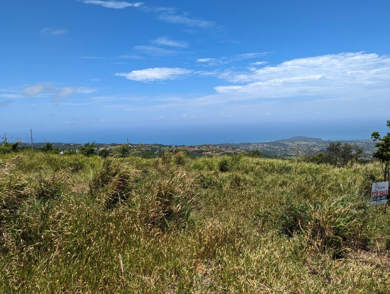 Tenth image of Whispering Height, Munro in Munroe College, St. Elizabeth, Jamaica - property is For Sale