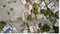 First image of 1 Brunswick Street in Spanish Town, St. Catherine, Jamaica - property is For Sale