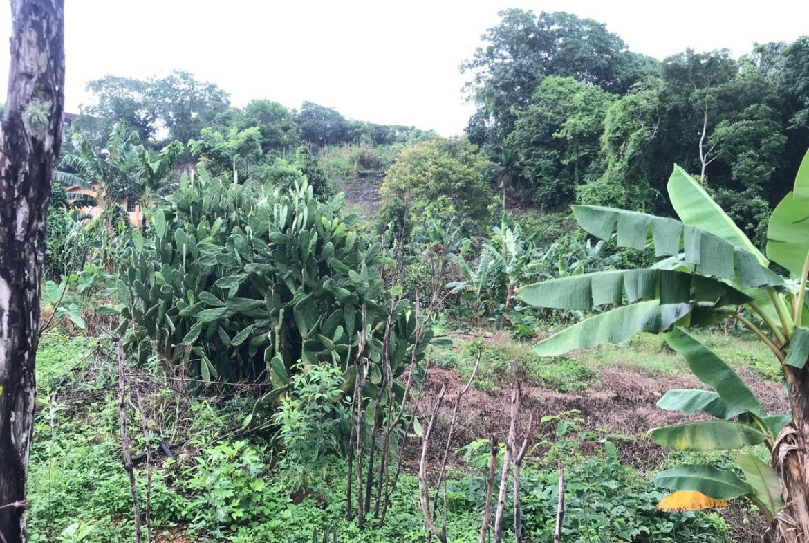 Fifth image of 39 Cedar Gardens in Cedar Grove, Manchester, Jamaica - property is For Sale