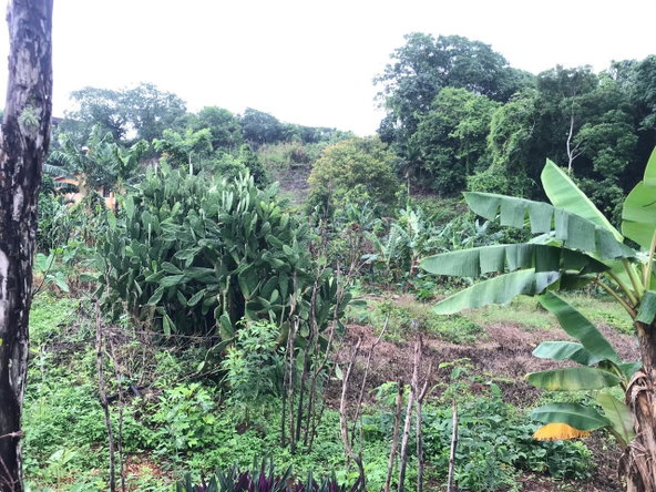 Fifth image of 39 Cedar Gardens in Cedar Grove, Manchester, Jamaica - property is For Sale