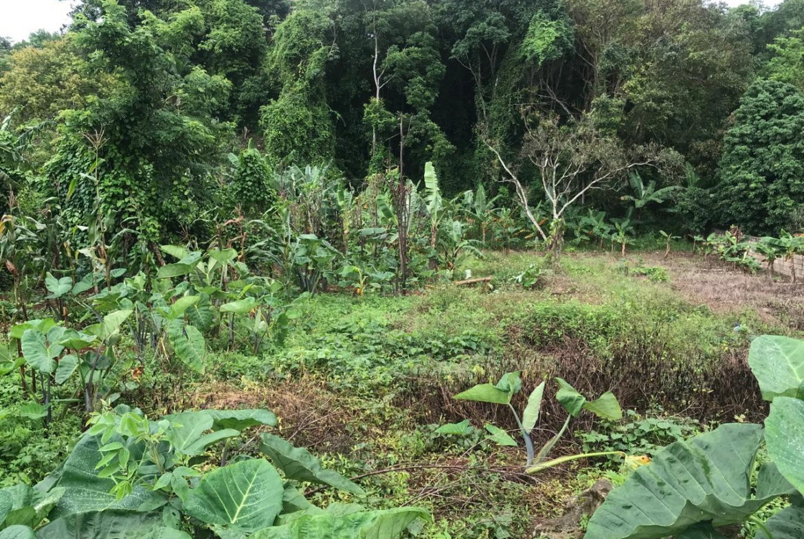 Sixth image of 39 Cedar Gardens in Cedar Grove, Manchester, Jamaica - property is For Sale