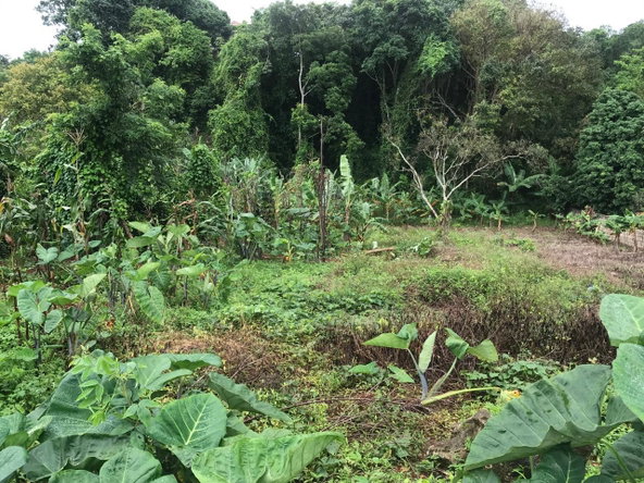Sixth image of 39 Cedar Gardens in Cedar Grove, Manchester, Jamaica - property is For Sale