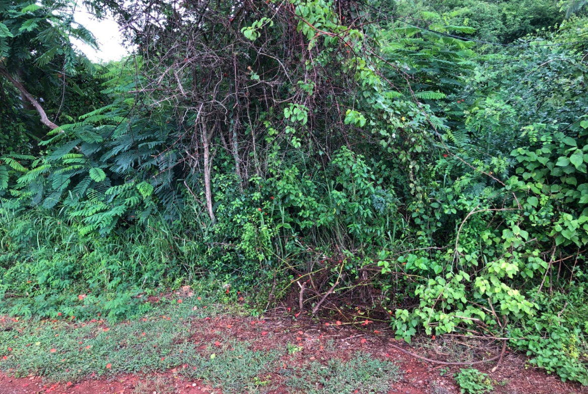 First image of Lot 50 Golden View in KITSON TOWN, St. Catherine, Jamaica - property is For Sale