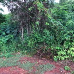 First image of Lot 50 Golden View in KITSON TOWN, St. Catherine, Jamaica - property is For Sale