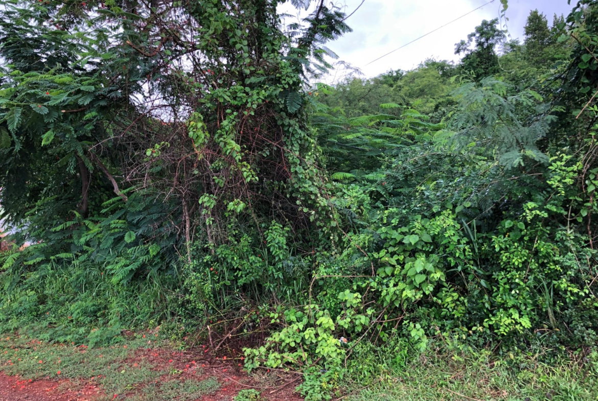 Third image of Lot 50 Golden View in KITSON TOWN, St. Catherine, Jamaica - property is For Sale