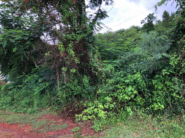 Third image of Lot 50 Golden View in KITSON TOWN, St. Catherine, Jamaica - property is For Sale