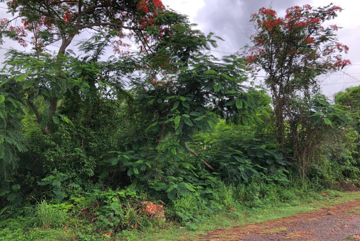 Fourth image of Lot 50 Golden View in KITSON TOWN, St. Catherine, Jamaica - property is For Sale