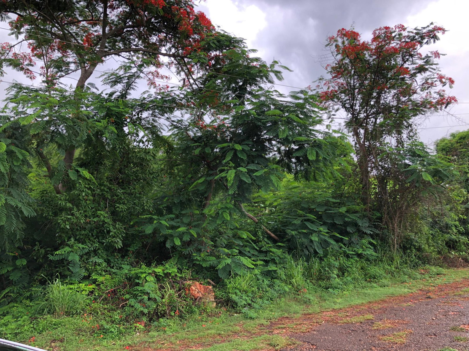 Fourth image of Lot 50 Golden View in KITSON TOWN, St. Catherine, Jamaica - property is For Sale