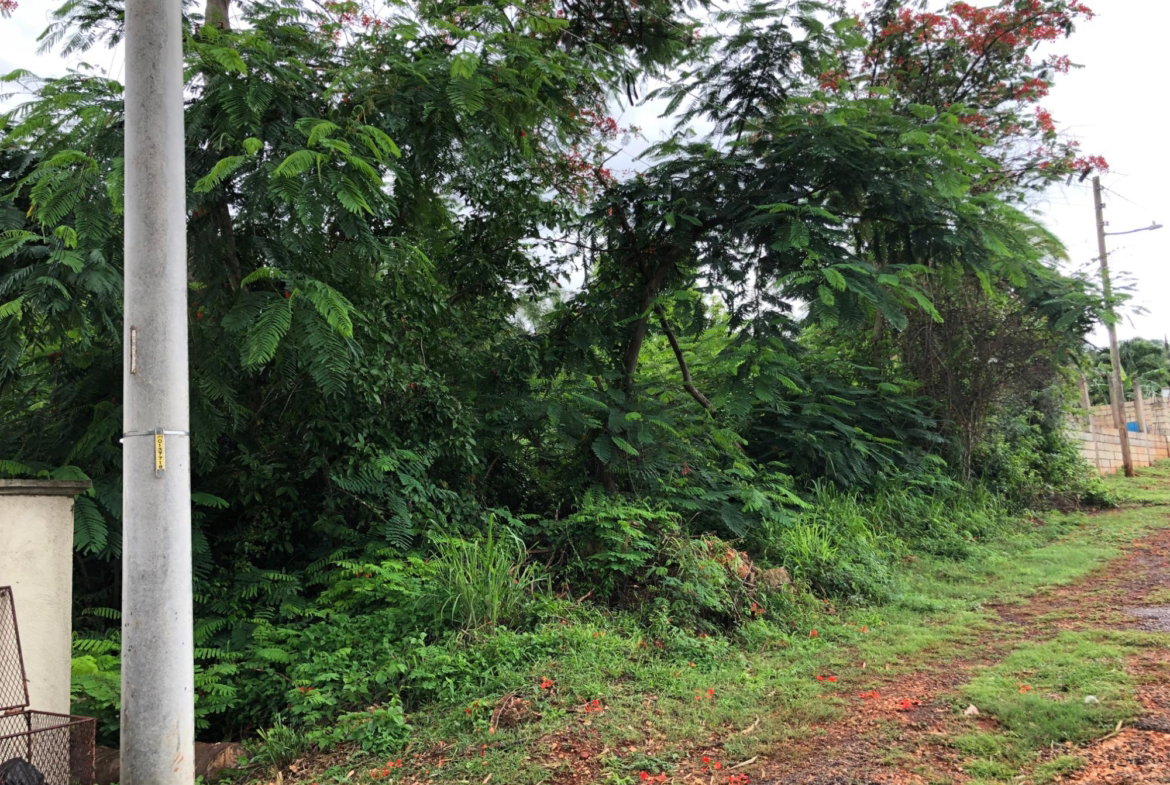 Fifth image of Lot 50 Golden View in KITSON TOWN, St. Catherine, Jamaica - property is For Sale