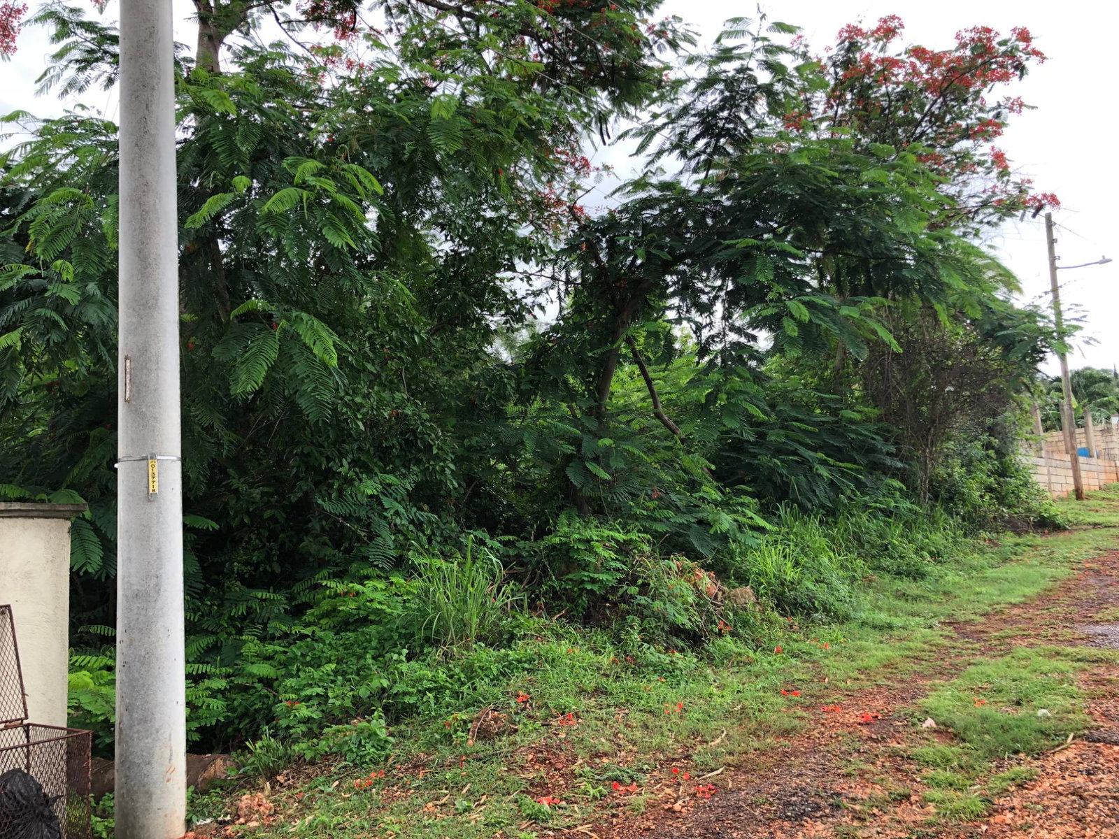 Fifth image of Lot 50 Golden View in KITSON TOWN, St. Catherine, Jamaica - property is For Sale