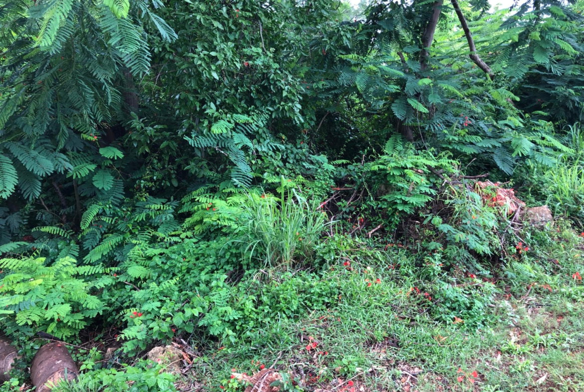 Sixth image of Lot 50 Golden View in KITSON TOWN, St. Catherine, Jamaica - property is For Sale