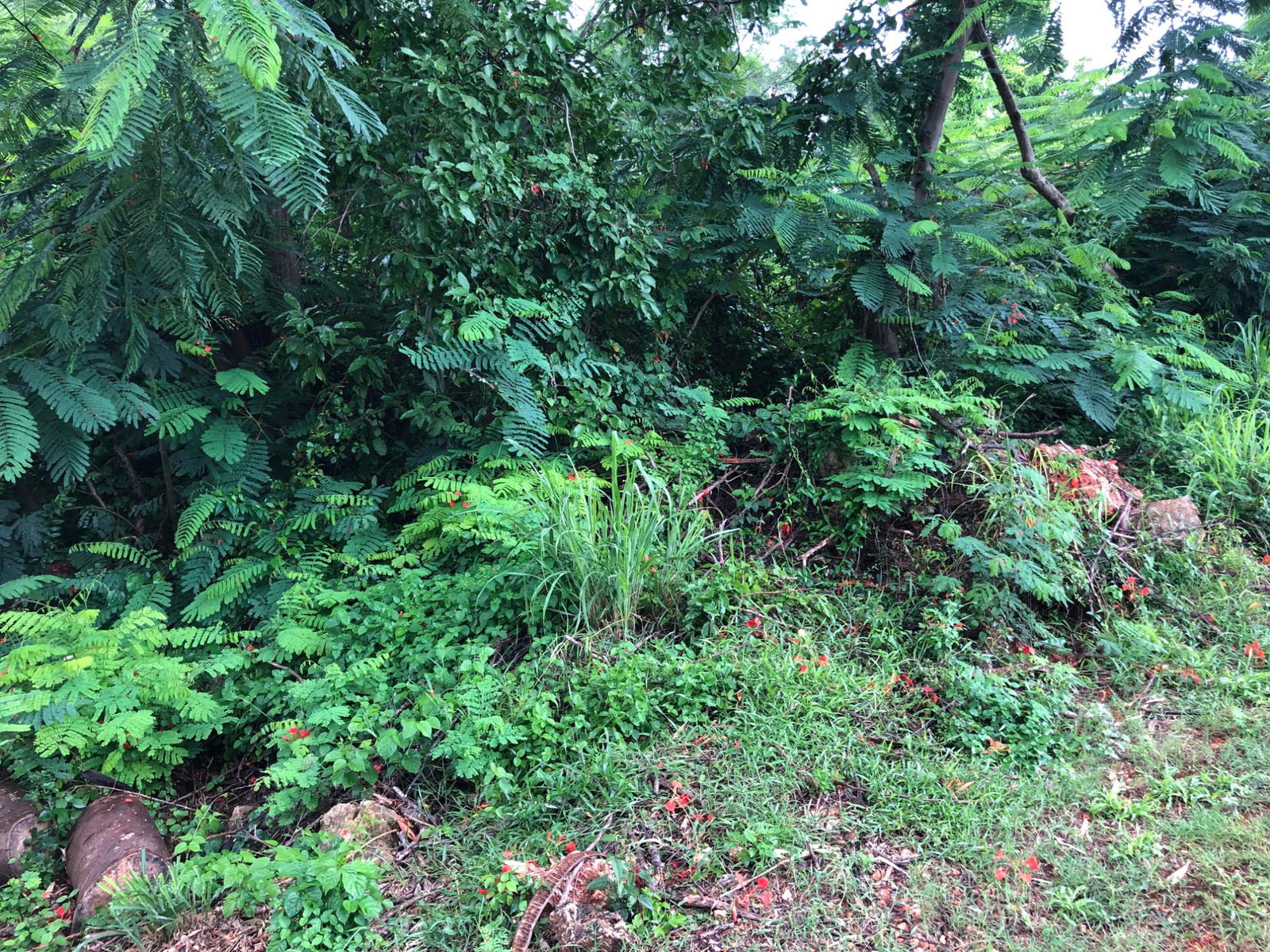 Sixth image of Lot 50 Golden View in KITSON TOWN, St. Catherine, Jamaica - property is For Sale