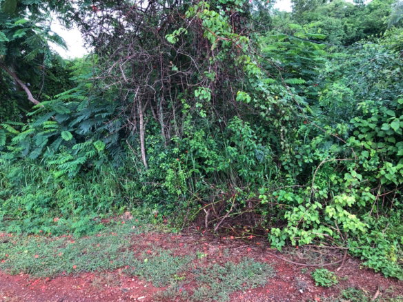 First image of Lot 50 Golden View in KITSON TOWN, St. Catherine, Jamaica - property is For Sale