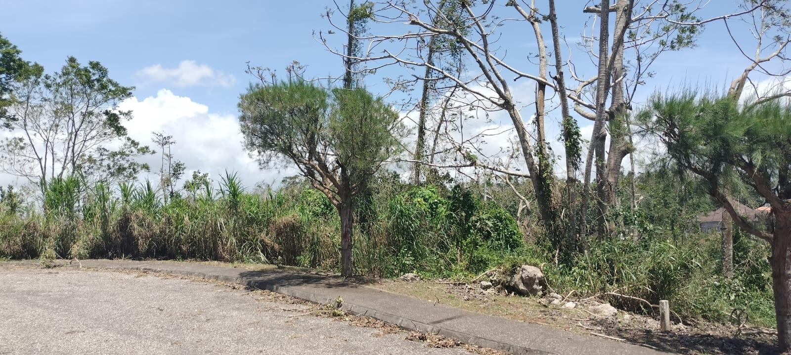 Eleventh image of 100 Moorelands Estate in Mandeville, Manchester, Jamaica - property is For Sale