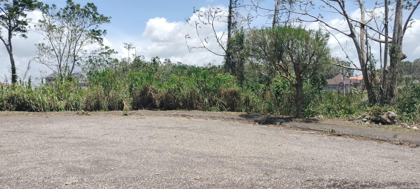 Twelfth image of 100 Moorelands Estate in Mandeville, Manchester, Jamaica - property is For Sale
