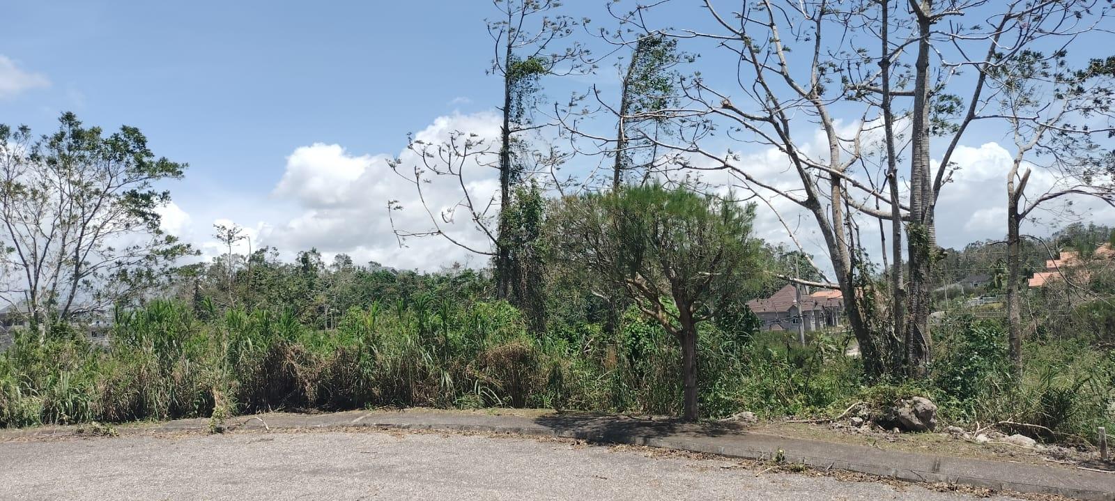 Thirteenth image of 100 Moorelands Estate in Mandeville, Manchester, Jamaica - property is For Sale