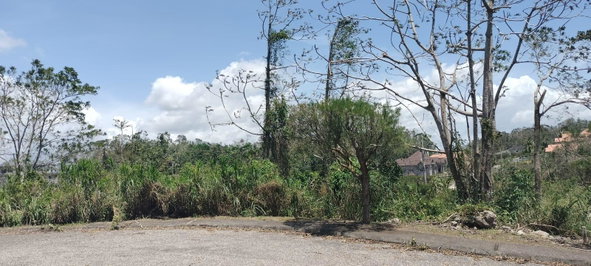 Thirteenth image of 100 Moorelands Estate in Mandeville, Manchester, Jamaica - property is For Sale