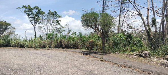 Fourteenth image of 100 Moorelands Estate in Mandeville, Manchester, Jamaica - property is For Sale