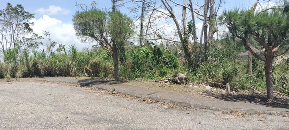 Fifteenth image of 100 Moorelands Estate in Mandeville, Manchester, Jamaica - property is For Sale