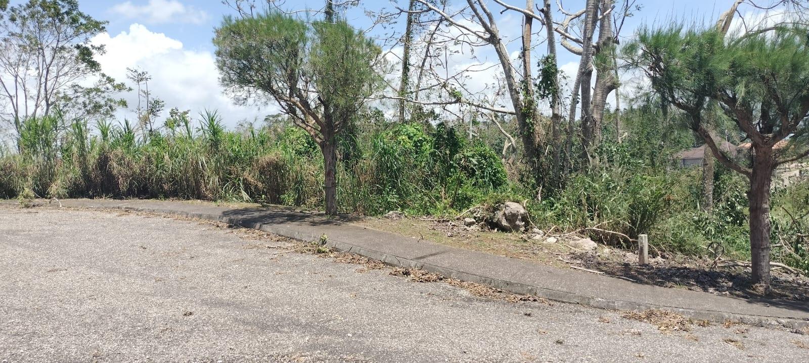 Sixteenth image of 100 Moorelands Estate in Mandeville, Manchester, Jamaica - property is For Sale