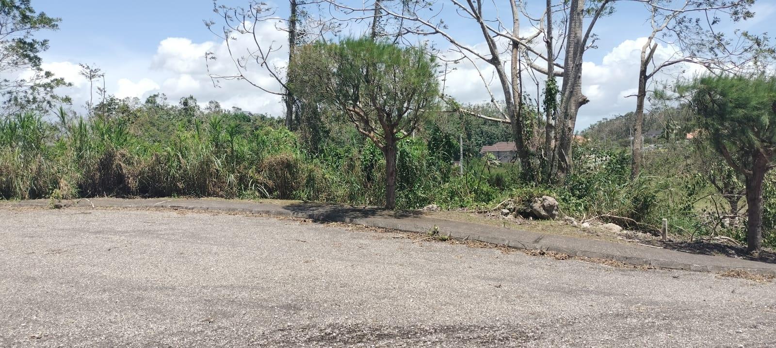 Seventeenth image of 100 Moorelands Estate in Mandeville, Manchester, Jamaica - property is For Sale