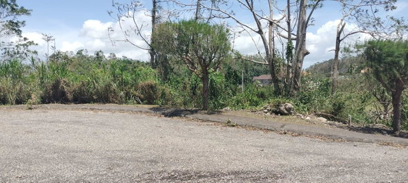 Seventeenth image of 100 Moorelands Estate in Mandeville, Manchester, Jamaica - property is For Sale