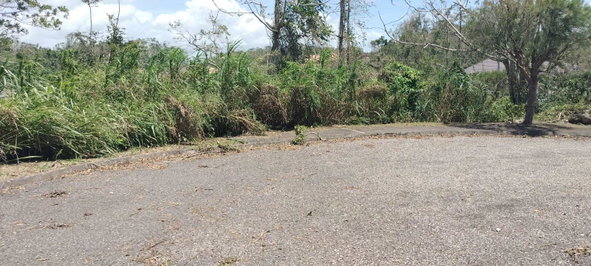 Eighteenth image of 100 Moorelands Estate in Mandeville, Manchester, Jamaica - property is For Sale